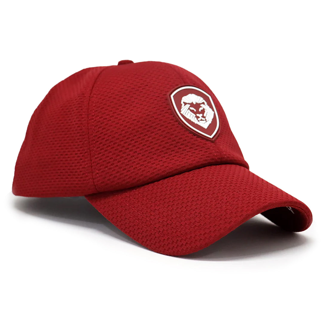 VT Shield Future Looks Bright Burgundy Velcro Performance Hat