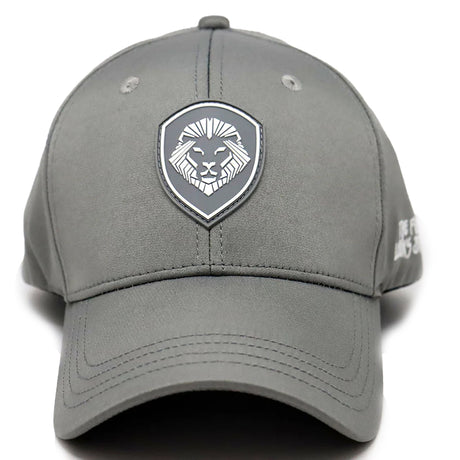 VT Shield Logo Future Looks Bright Grey Snapback Hat