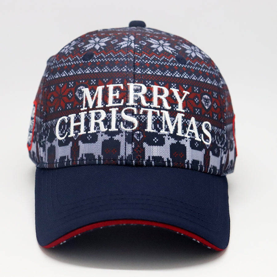 Future Looks Bright Holiday Knit Pattern Snapback Hat