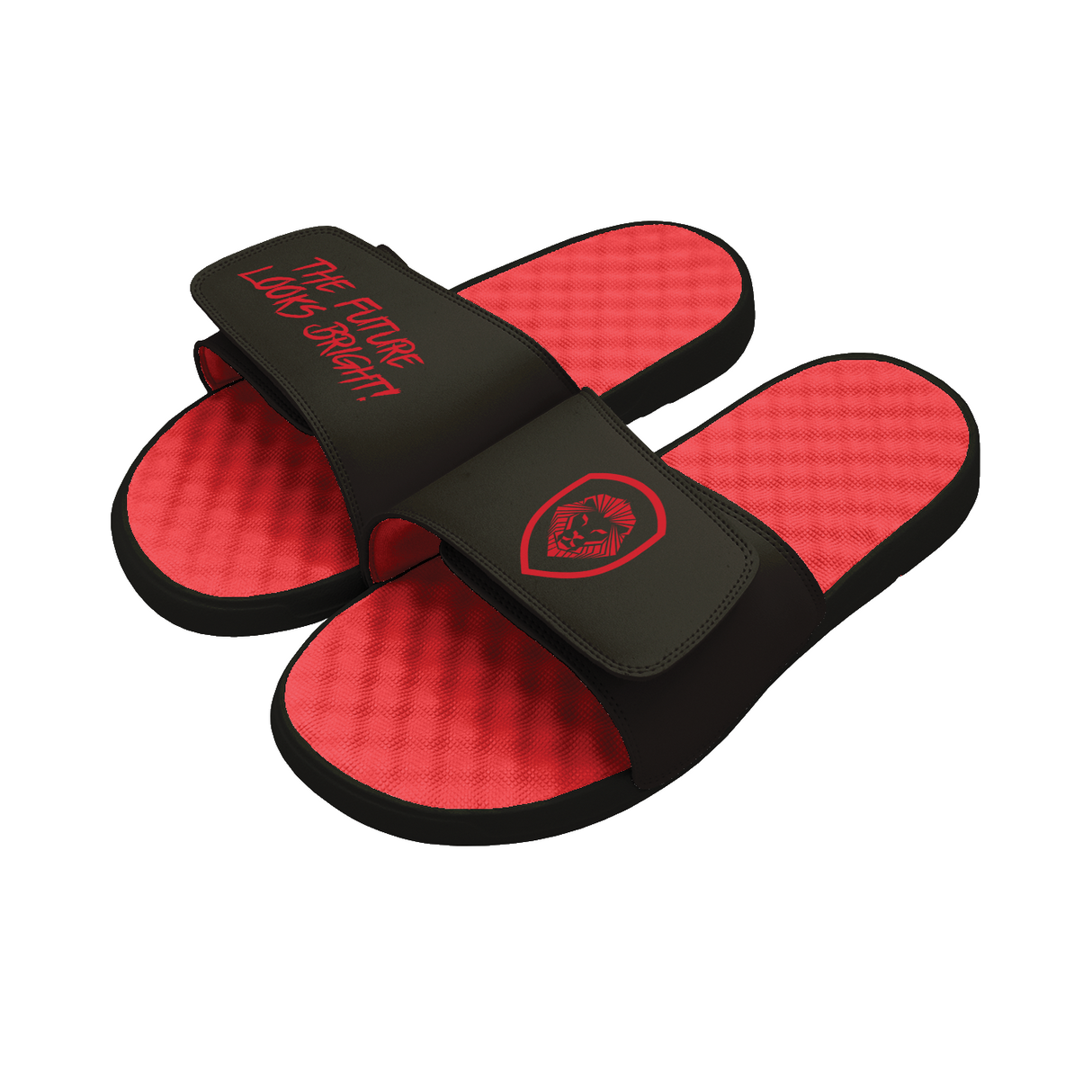 Future Looks Bright Lion Shield Black and Red Comfort Slides