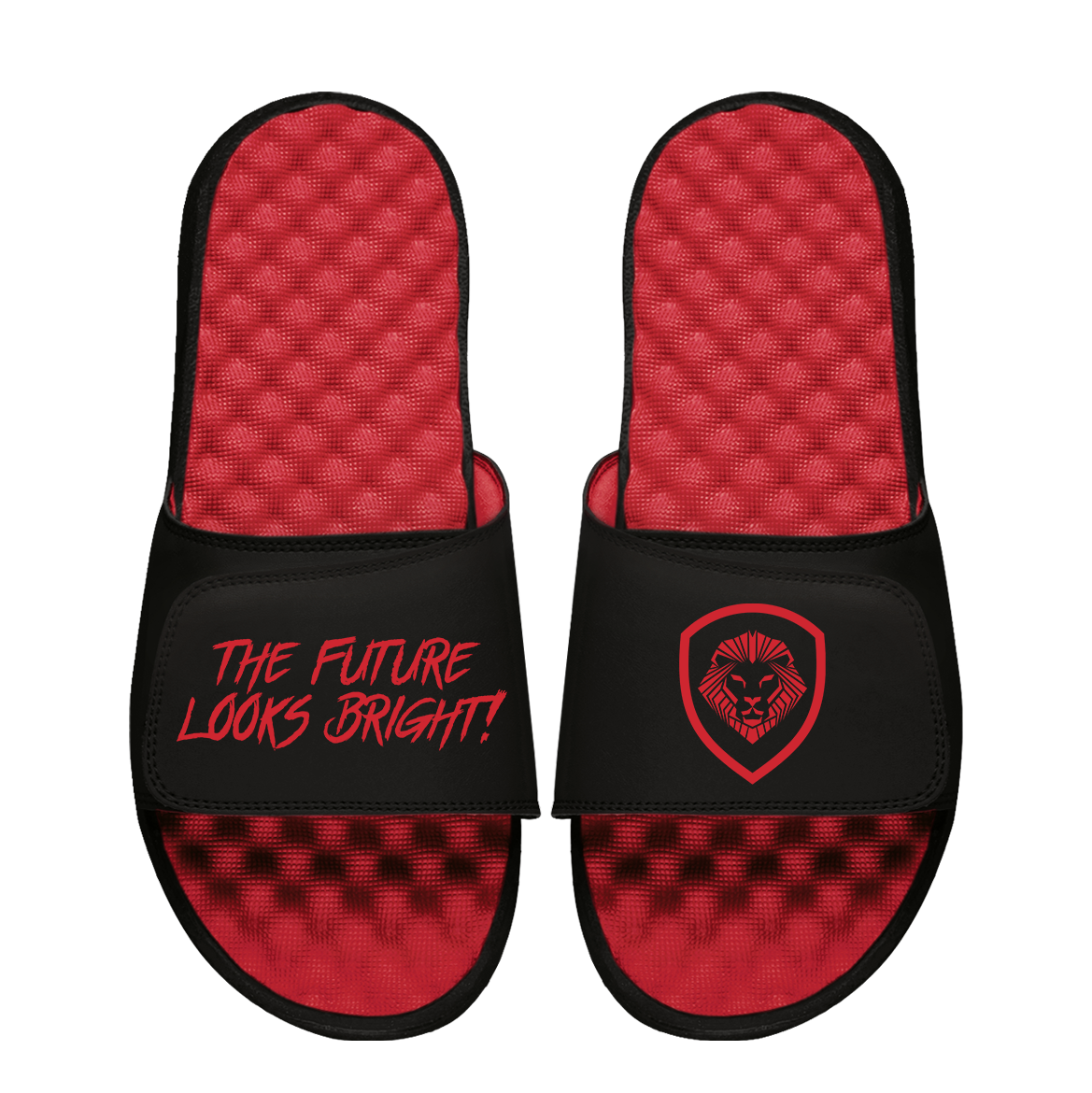 Future Looks Bright Lion Shield Black and Red Comfort Slides