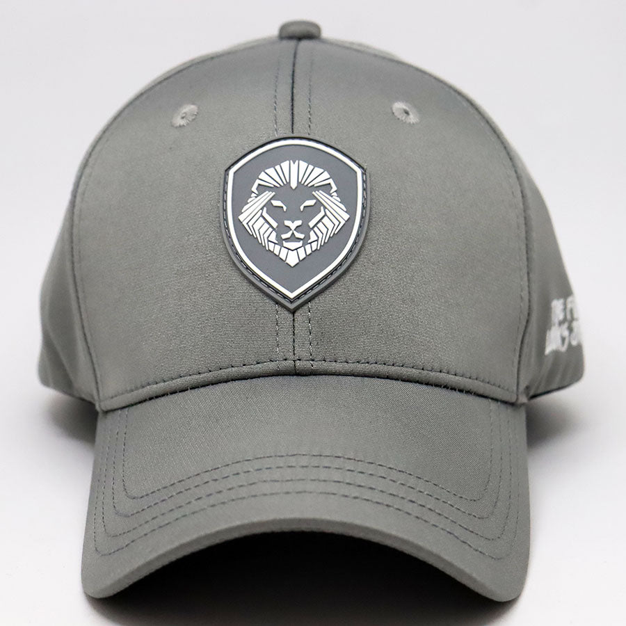 VT Shield Logo Future Looks Bright Grey Snapback Hat