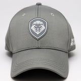 VT Shield Logo Future Looks Bright Grey Snapback Hat