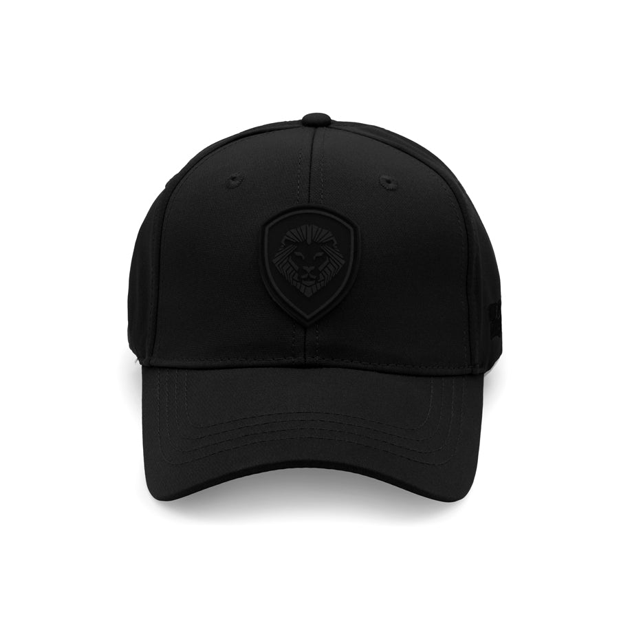 VT Shield Logo Future Looks Bright Black & Black Flex Fit Hat