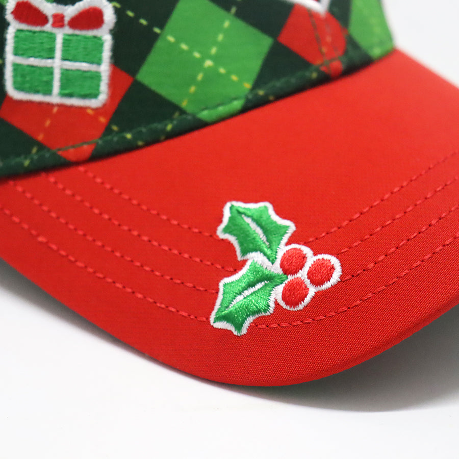 Future Looks Bright Christmas Argyle Lion Shield Snapback Hat