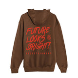 Future Looks Bright Pullover Hoodie - Chestnut