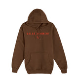 Future Looks Bright Pullover Hoodie - Chestnut