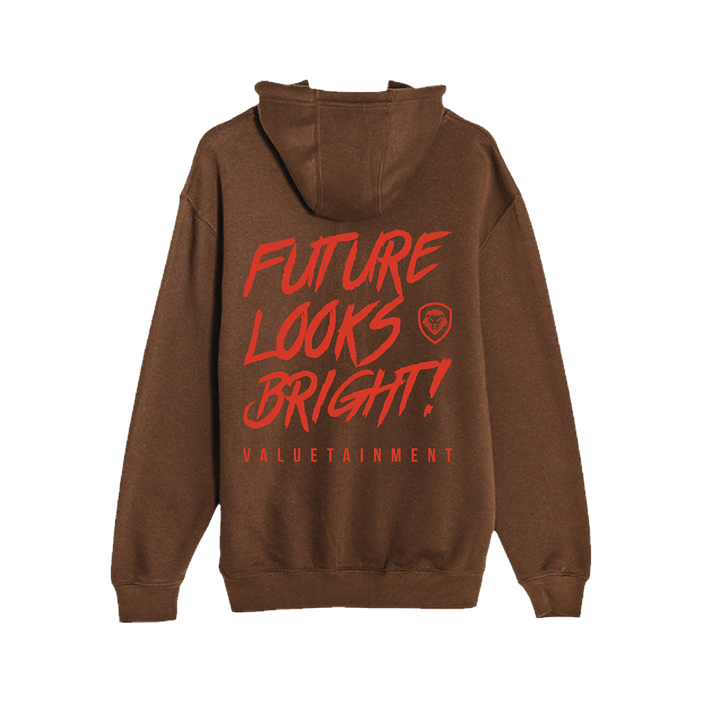 Future Looks Bright Pullover Hoodie - Chestnut