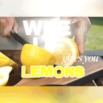 Zest It Forward VT Lemon Box